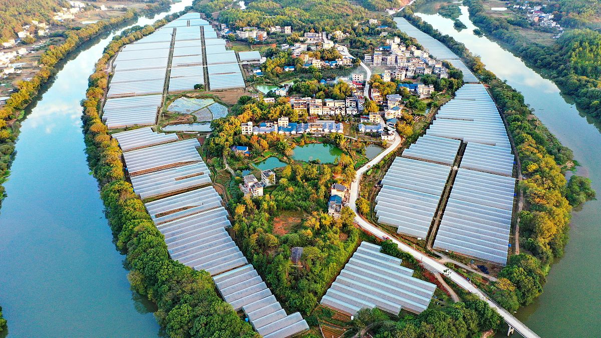 江夏乡村振兴农民就业基地 一期 B 地块工程总承包EPC
