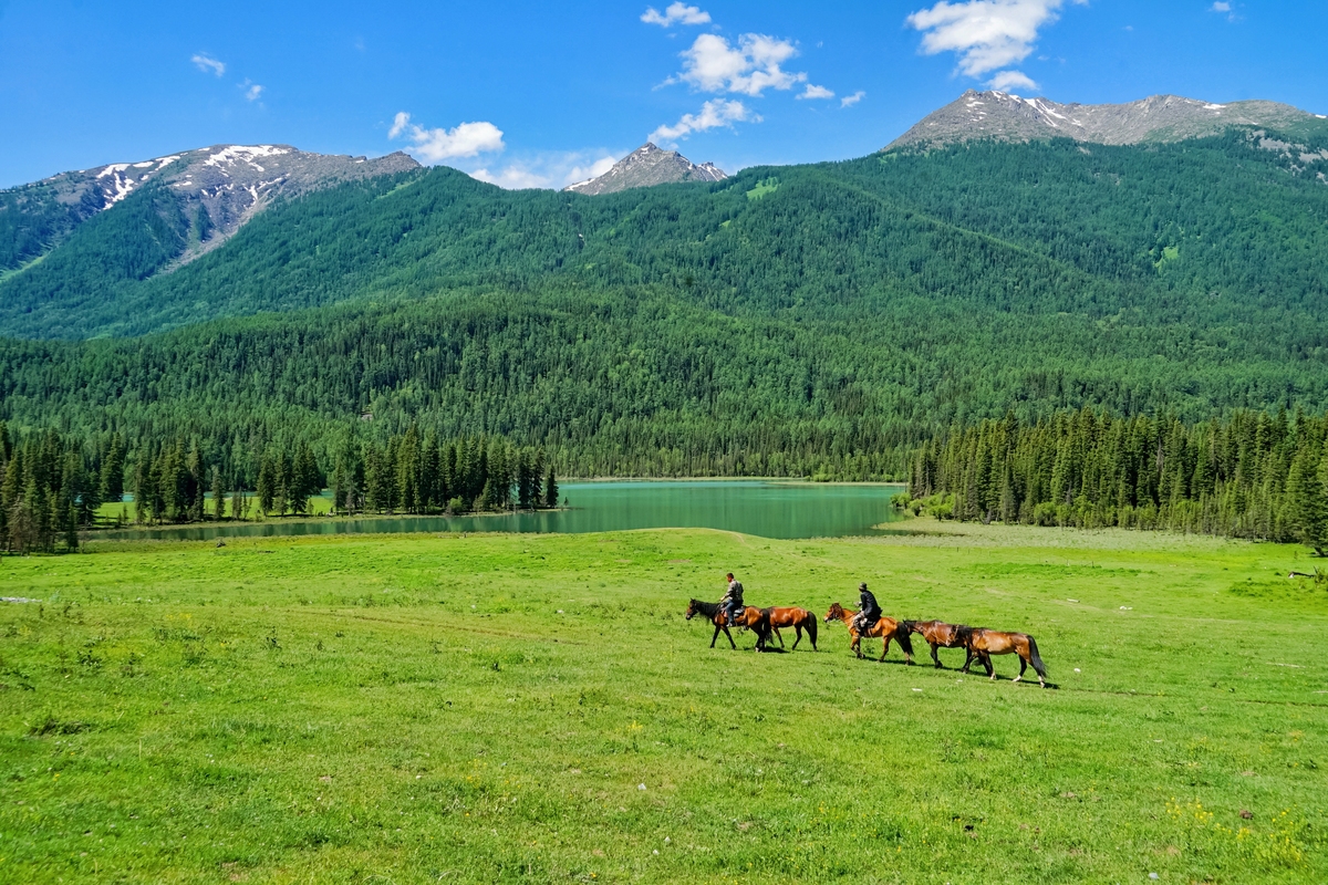 喀纳斯旅游景区的旅游客源市场调查