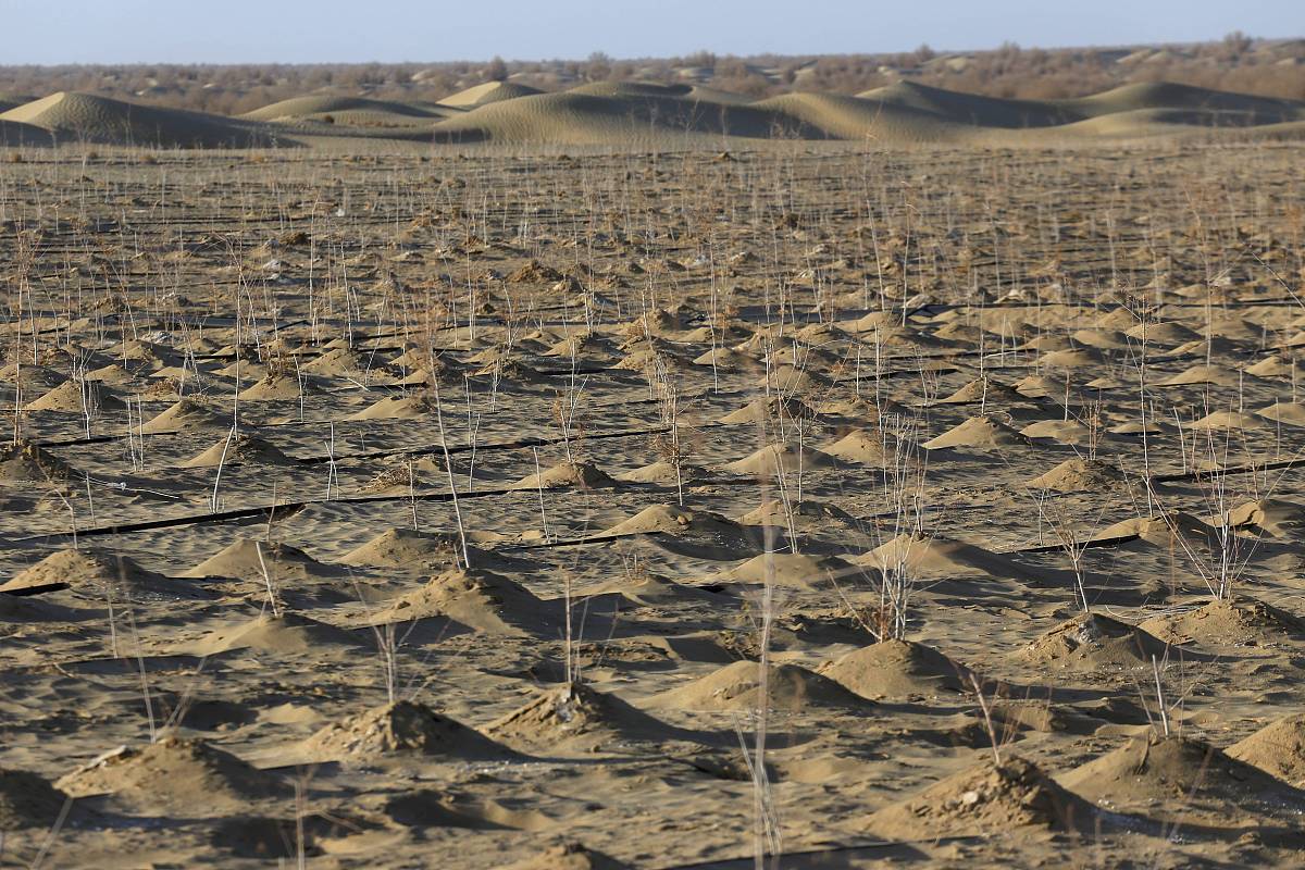 新疆的南北疆自然灾害差异详细描述