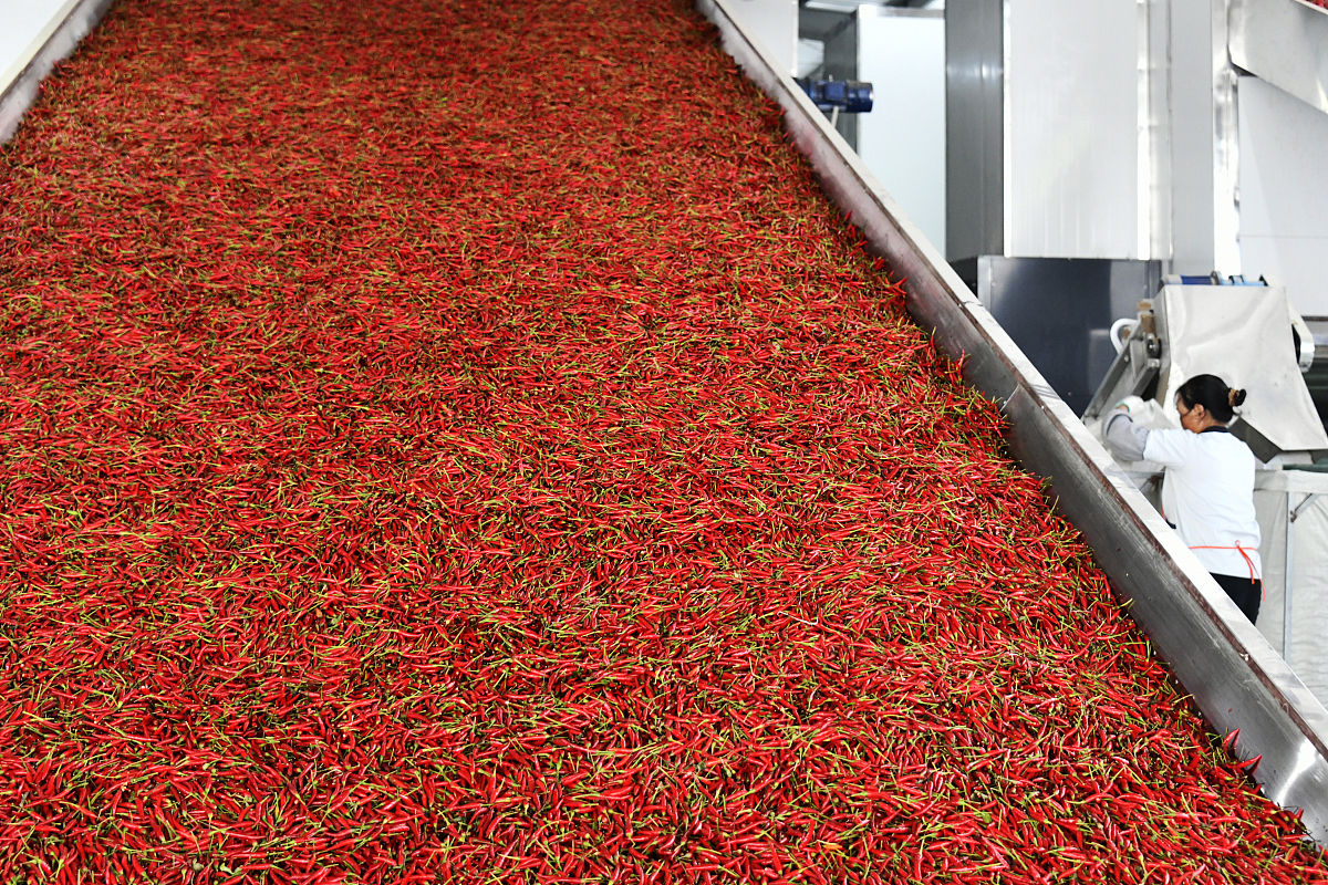 遵义就业最好的中专学校