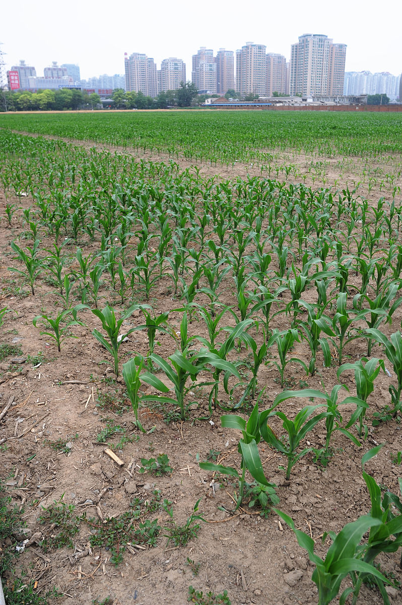 重庆市农业机械化学校