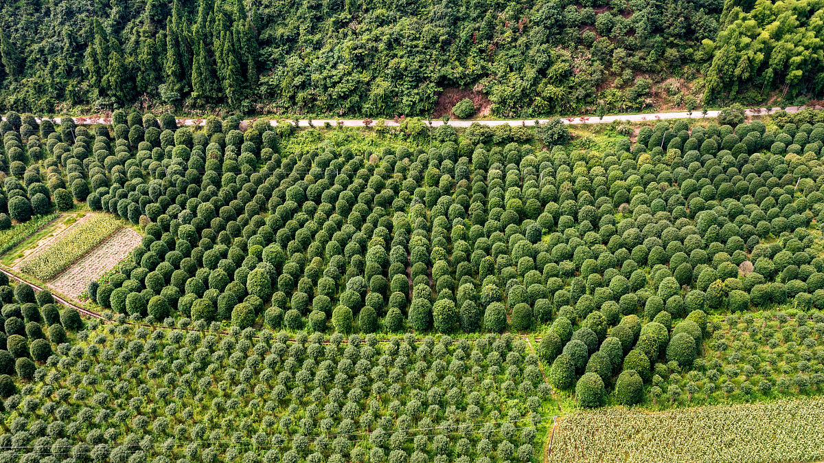 仙居职业中等专业学校2021年招生条件是什么
