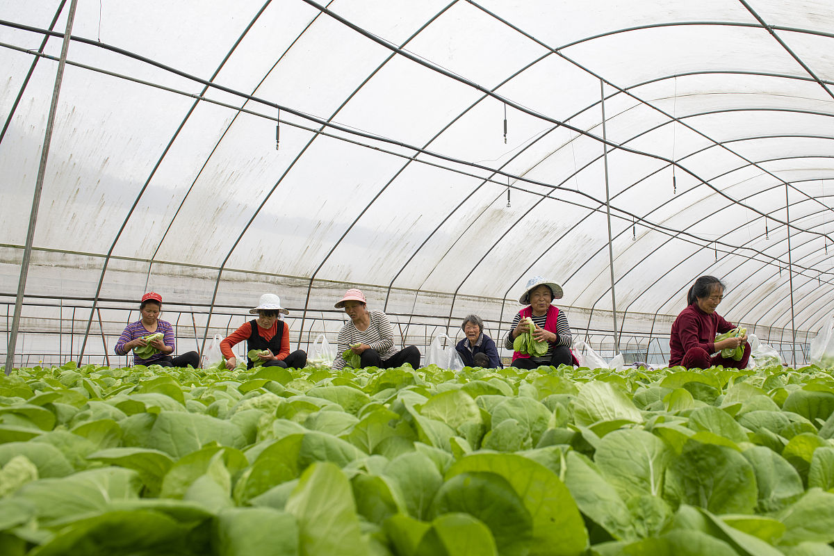 武汉农业学校2021年招生简章