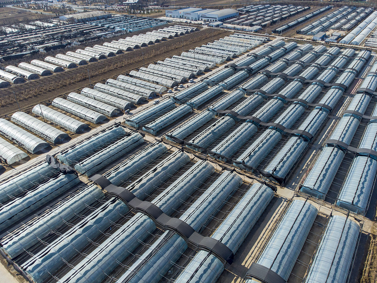 食用菌大棚资产管理现状及改进措施