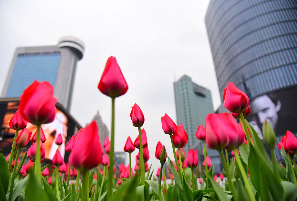 湛江市工商职业技术学校2022年招生要达到什么条件