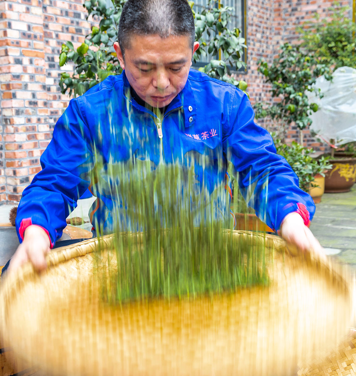 玉米须泡茶工作坊收获：制作技巧、健康功效、团队合作 - 工作汇报