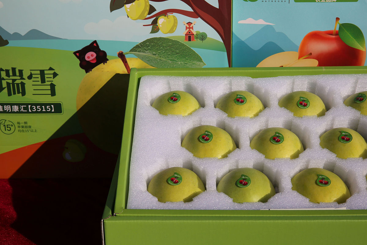 陕西科技技师学院2022年招生简章-机械制造|电子信息等专业