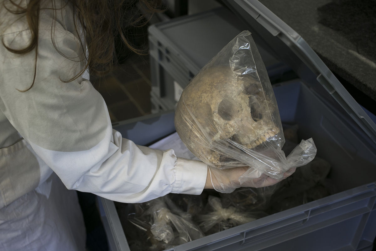 哲学分析：戒网瘾学校和社会管理学手册设计指南