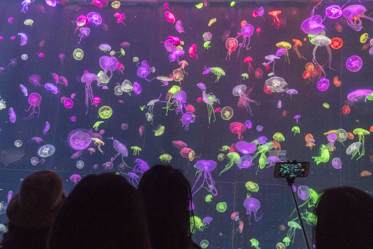 广东海洋大学通信工程专业怎么样