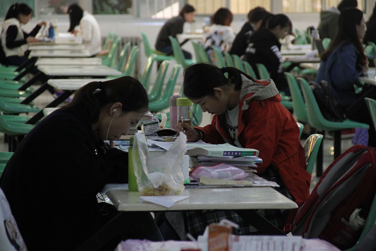 关于四川九大员继续教育是在哪个网站内容生动