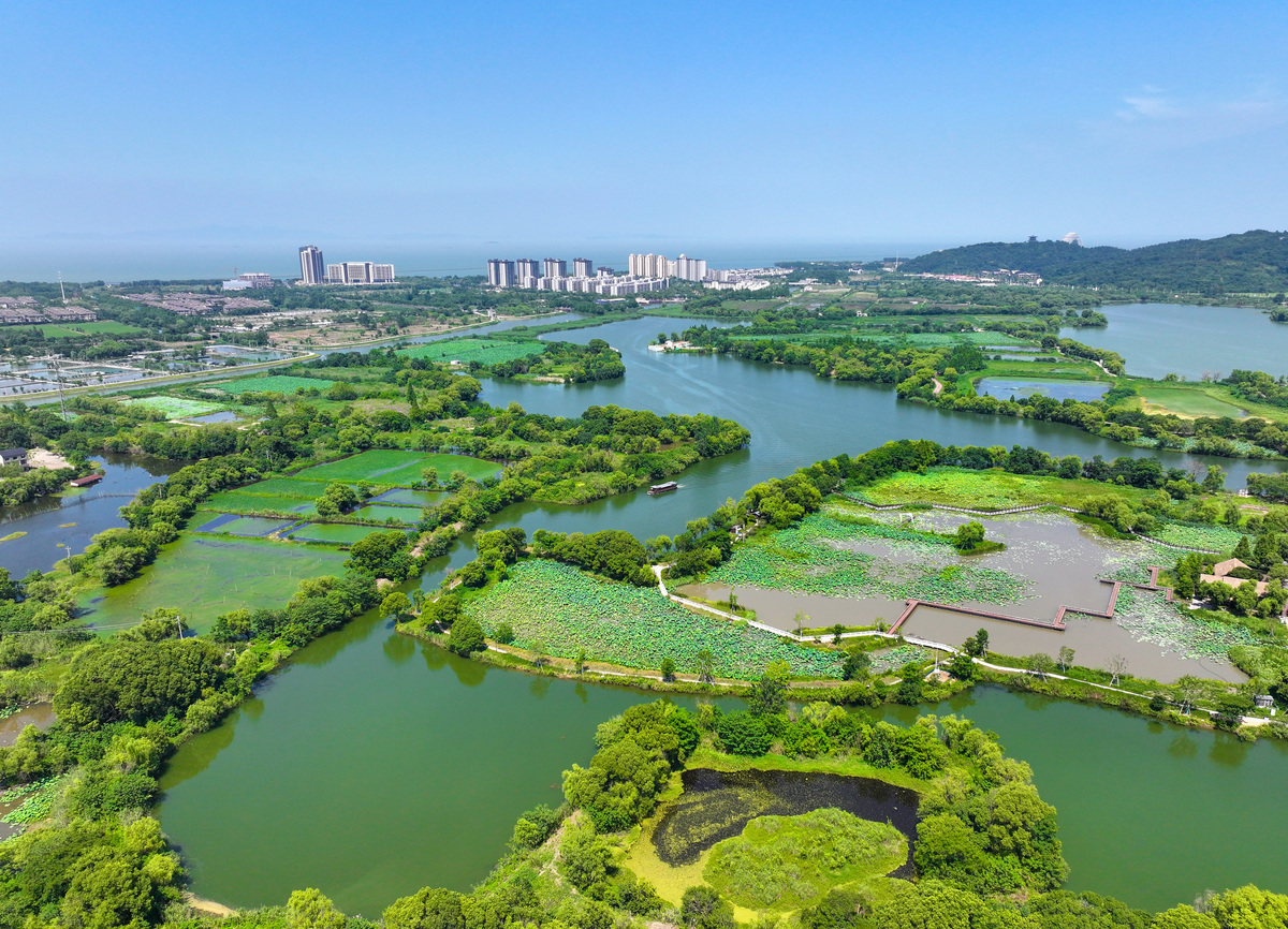 太湖生态系统：珍稀物种栖息地，经济发展支柱，水资源宝库