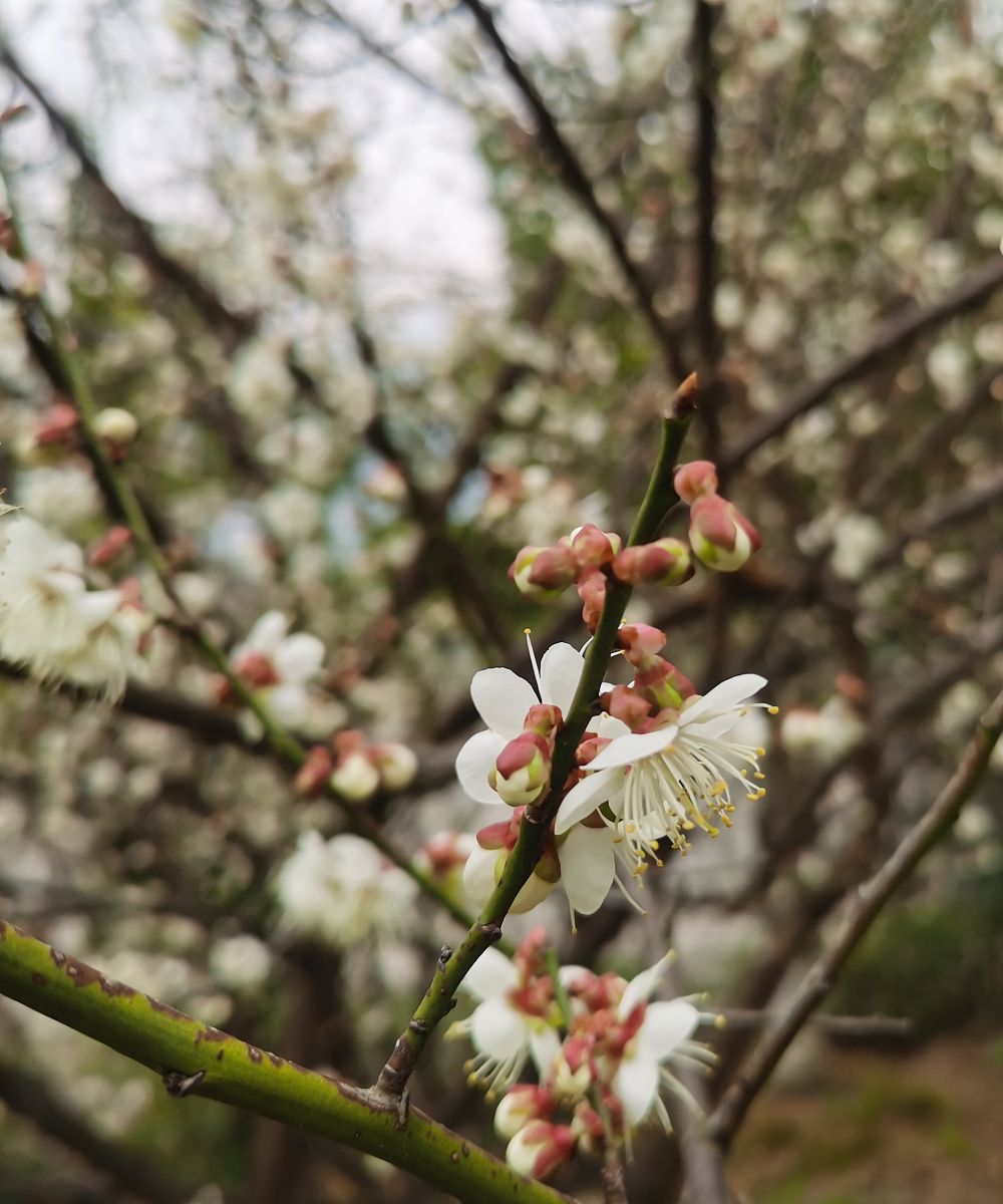 重庆工业管理职业学校2022年招生简章-专业设置及报名时间