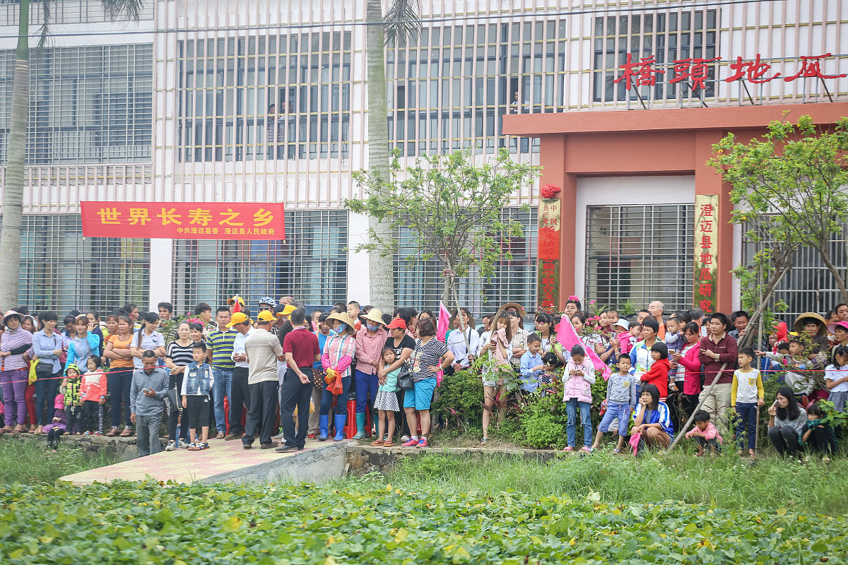 饶平县凤江实验学校幼儿教育专业：培养具有创新精神的幼儿教育人才