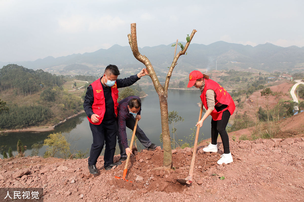 重庆市万州职业教育中心义务植树绿化示范点 - 2019年秋季