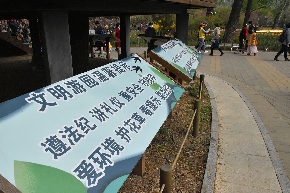 旅游景区刻字之殇：呼吁环保，从我做起