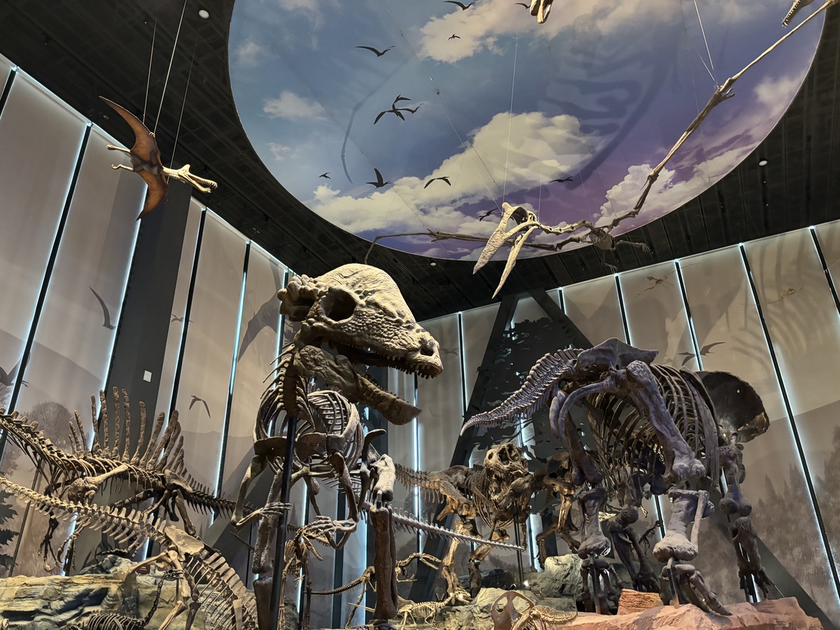 保定计算机专业哪所中专好