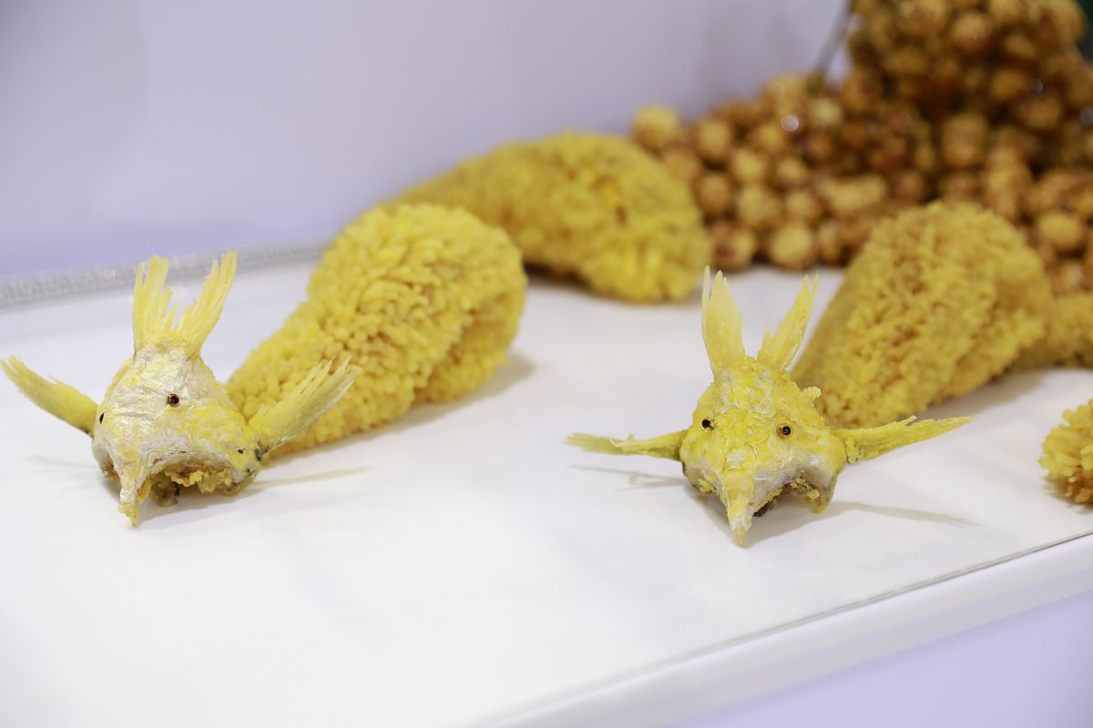 正安中等职业学校2022年招生简章