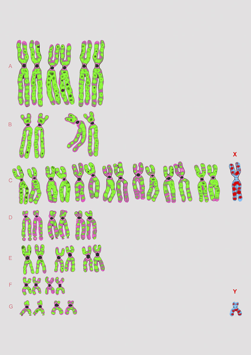 1e-3 科学计数法 - 0.001 的表示方式