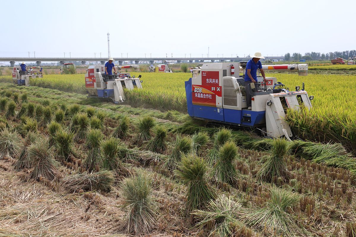 黑龙江农业工程职业学院农业装备应用技术专业就业前景如何