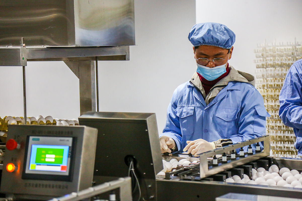 河南质量工程职业学院广告媒体开发专业怎么样