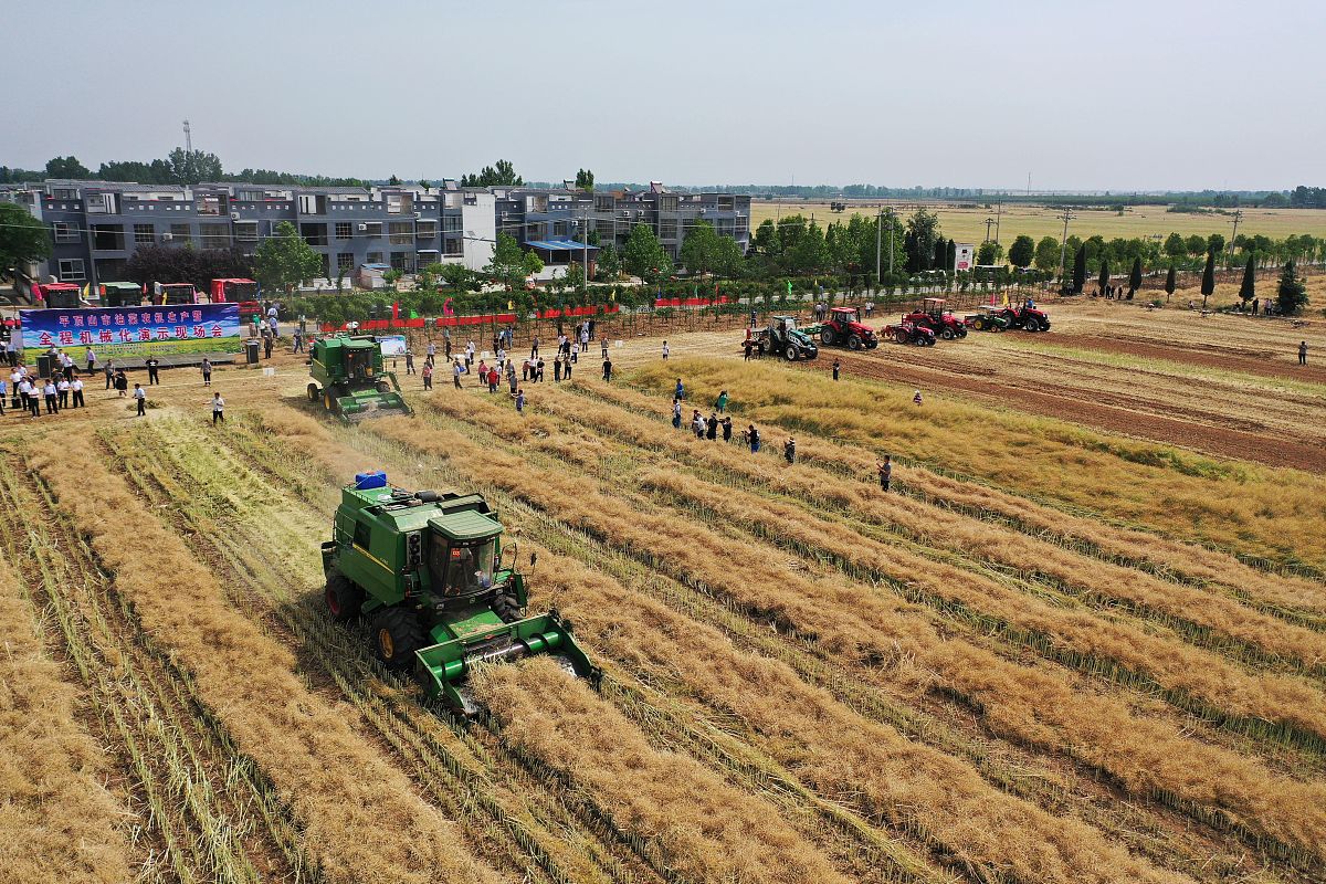 曲靖农业学校五年制招生：培养农业人才，助力乡村振兴