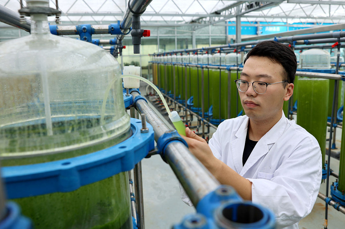 威海海洋职业学院物联网应用技术专业如何好学吗