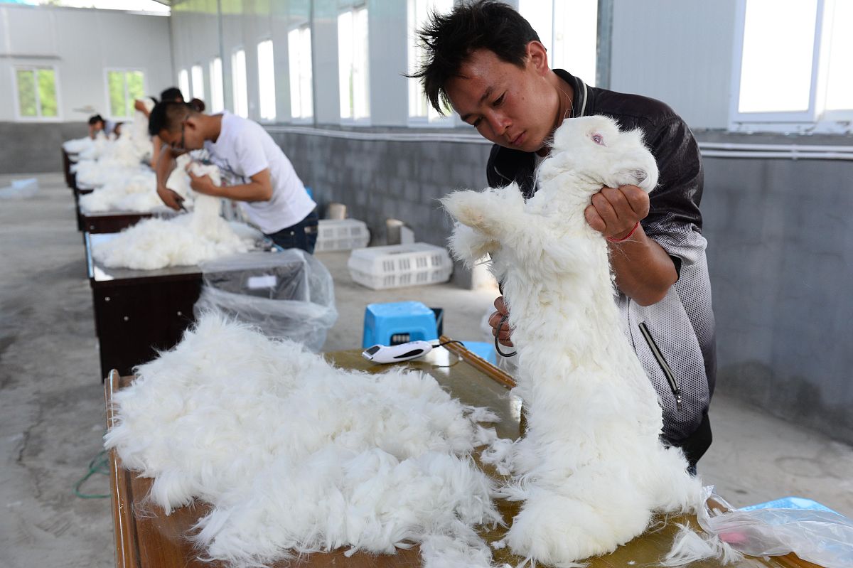 山东丝绸工业学校蚕桑就业方向有哪些