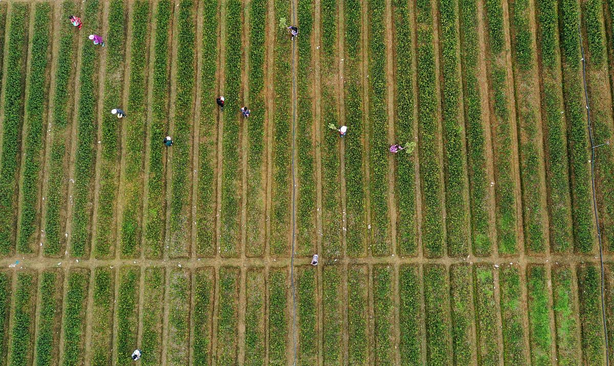 2021年重庆统景职业中学招生简章