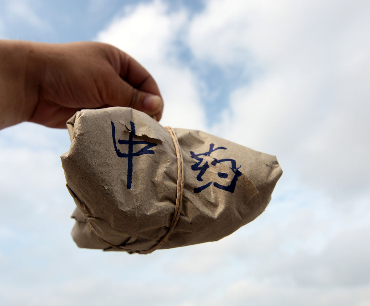 乐山市医药科技学校中草药种植专业招生