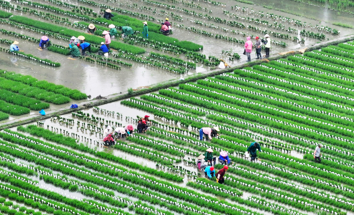 中等职业教育专业之农林牧渔大类专业