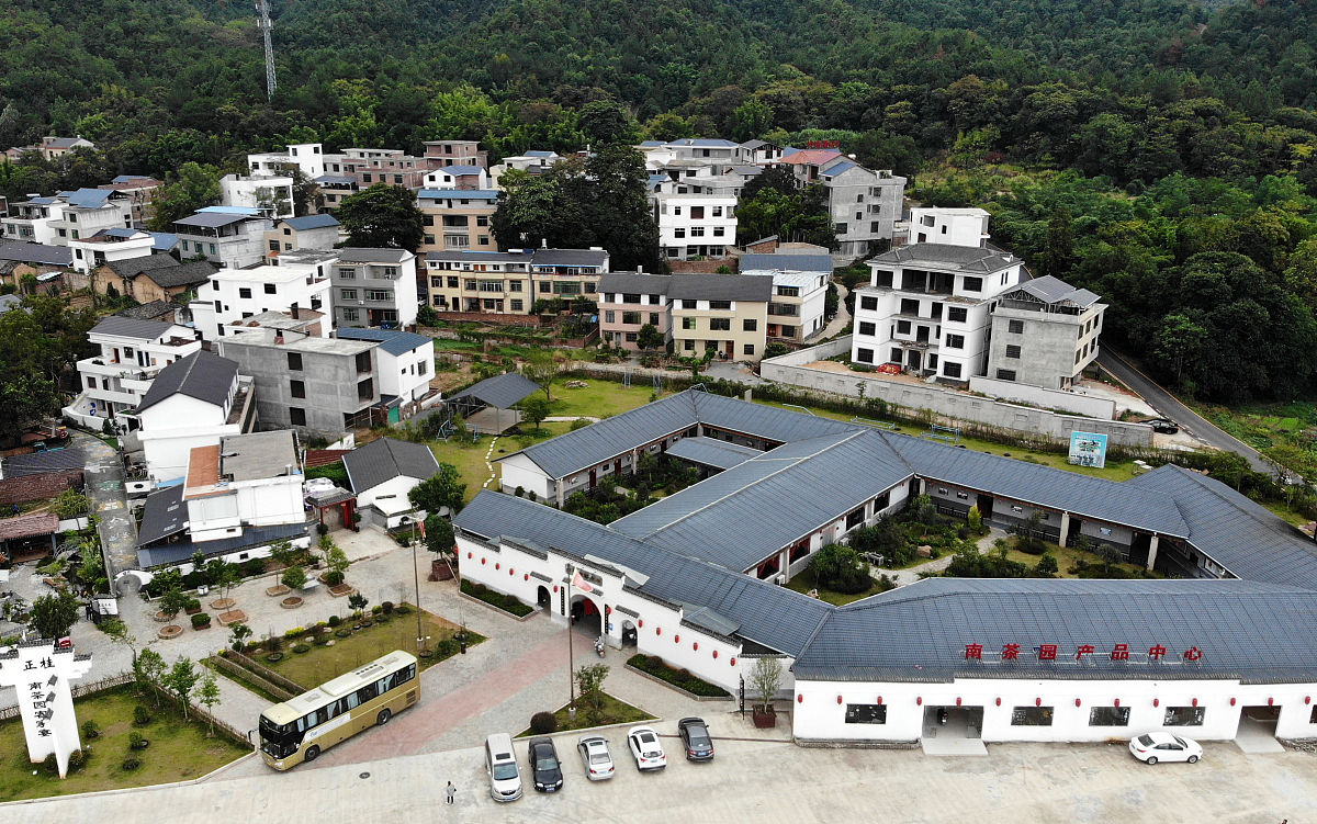 按照文献综述语言风格阐述丰顺县农村人居环境治理过程中如何 发挥政府引领作用500字