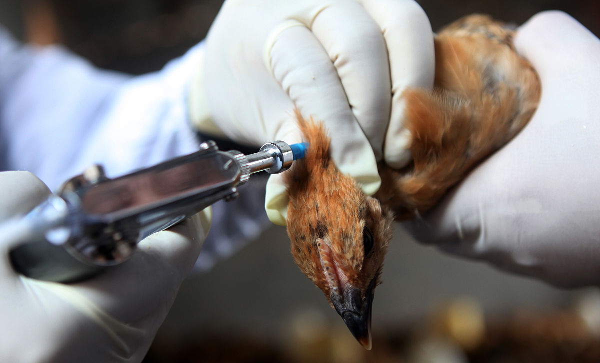 河南农业职业学院动物药学专业就业方向及前景