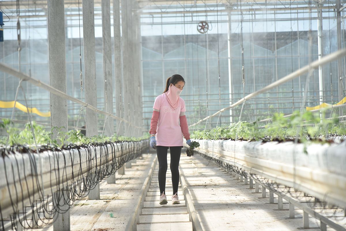 大理科技管理中等职业技术学校怎么样_学校地址在哪里