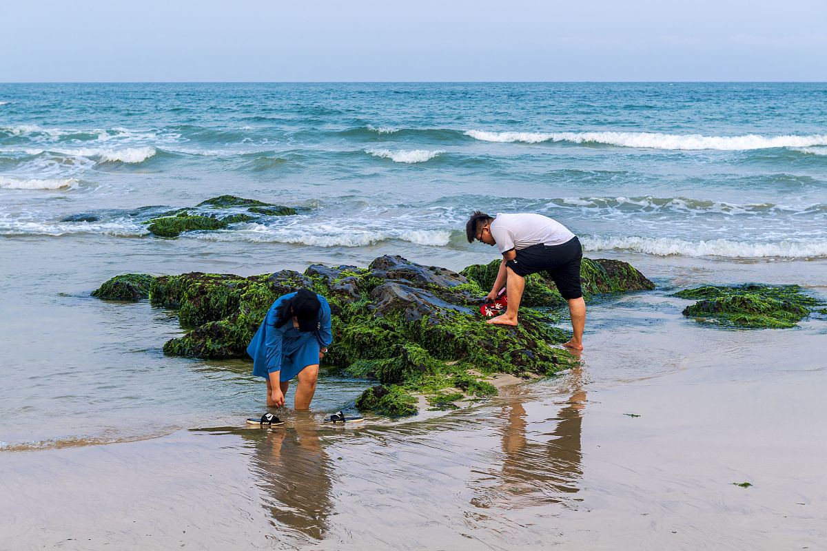 2021年4月1日,海南琼海,博鳌的海滩边,一堆海草,却吸引了很多北方游客