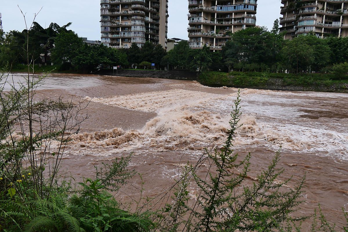 新出炉的乐山职高学校招生 每个人都必须看看