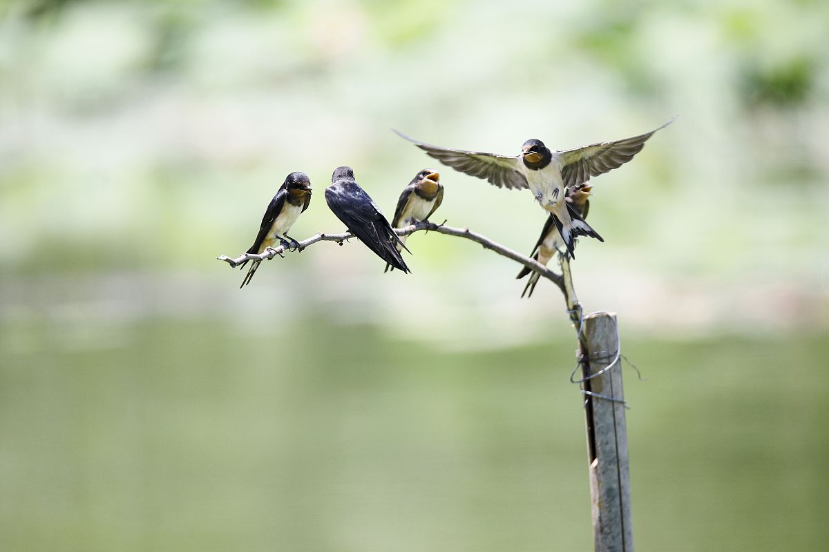 请对论文章节 31 陕西利沣达建筑科技公司简介行写作包括公司发展历程、公司在哪一年取得的成就等内容进保证其内容合理性不要乱写：