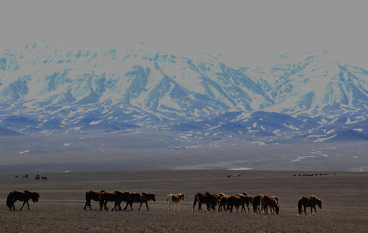 水居善渊而利万物因此万物莫不归附；火生山野而烧灼众人因此众人莫不远离。这个基本原理就蕴藏在自然的万事万物之中人何以不能够领悟呢？把上面这段话绘制成3张图片