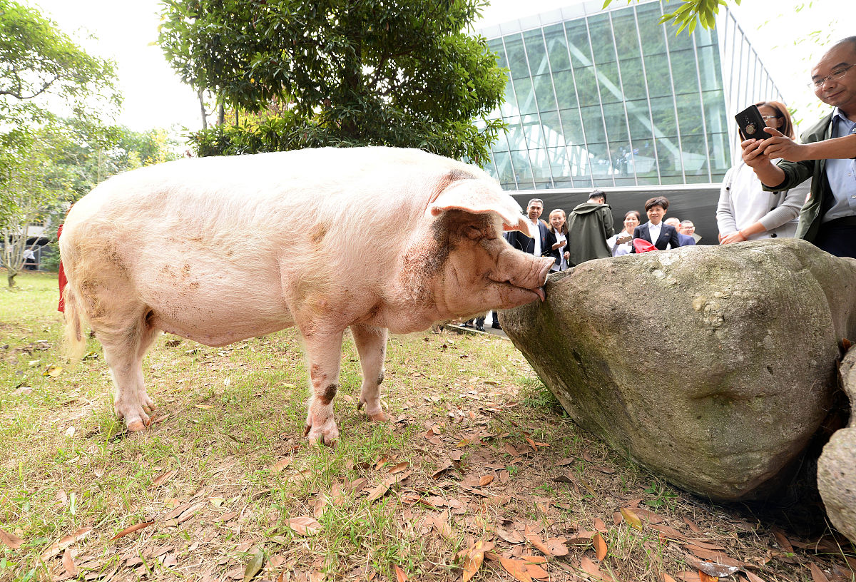 成都中专学校推荐：哪所学校最适合你？