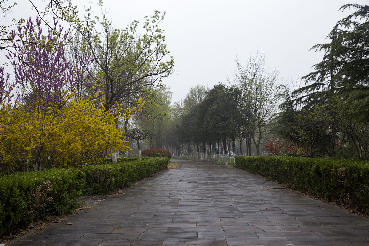 春雨还会敲敲谁仿写