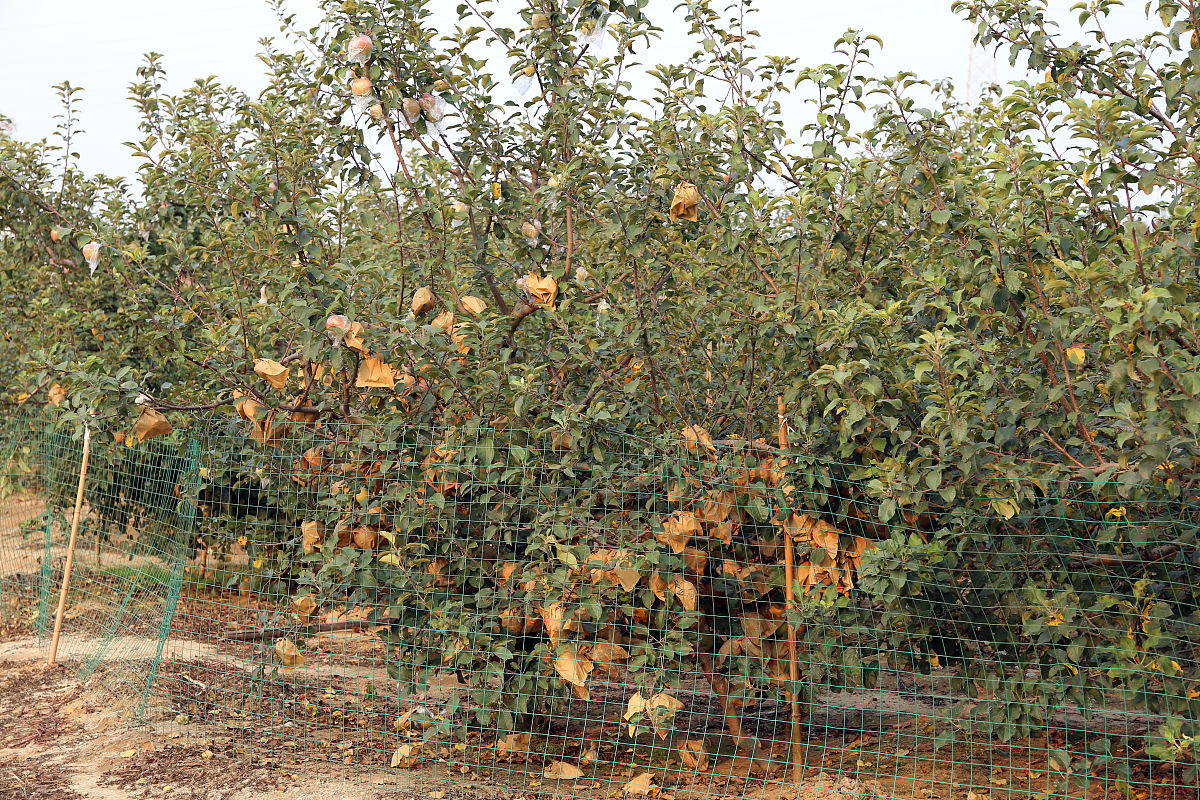 日照市商业学校招生简章-好不好