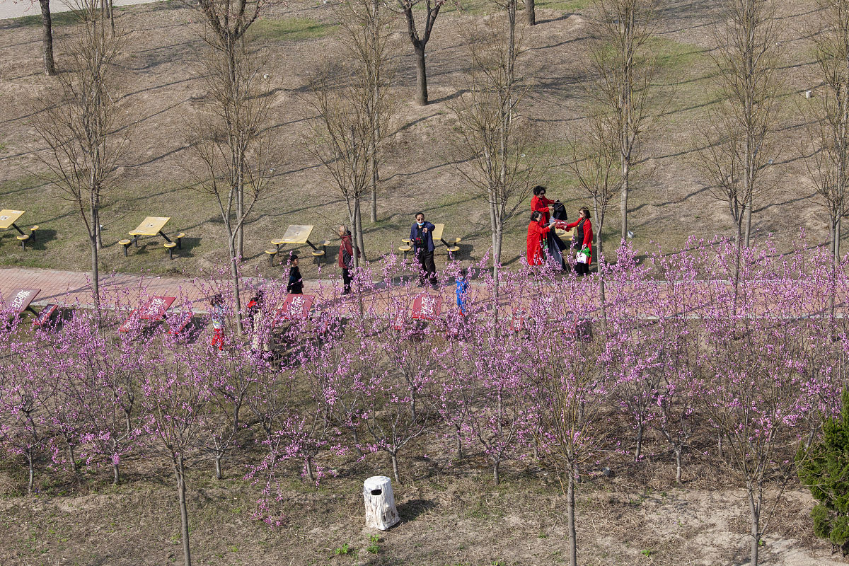 清明假期2023法定假日是几天