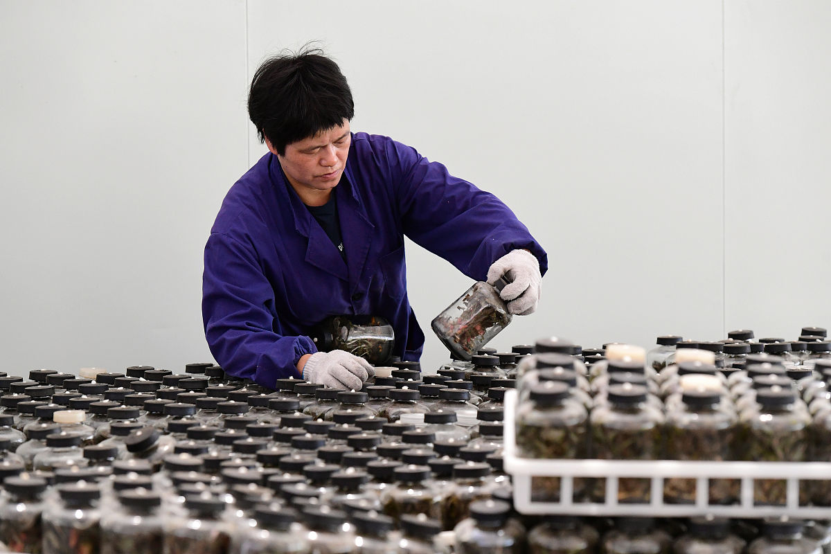 浙江科技工程学校办学条件怎么样？ - 设施、师资、就业等全面解析