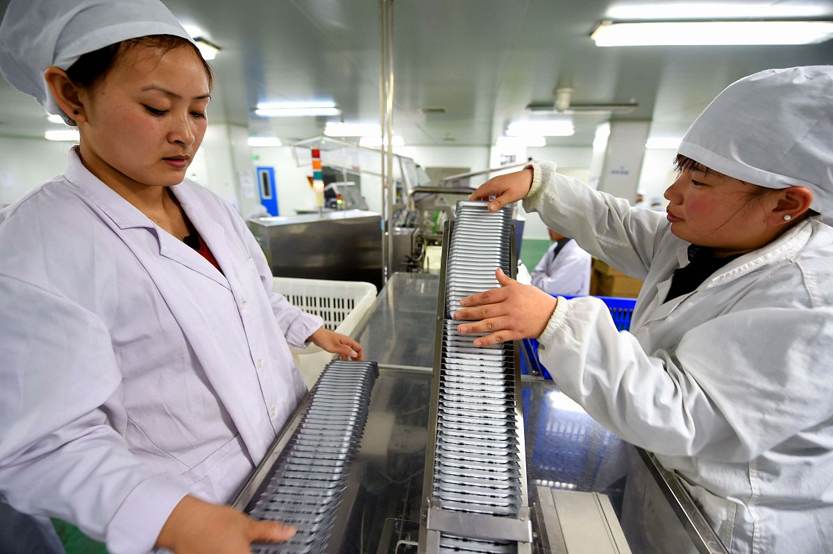 中药专业详解及就业方向用发散