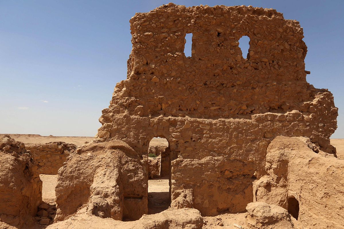 前湾新区要建设大数据平台包括党政、政府、经济、社会、文化和法治等六大指标帮我描述前湾新区的文化相关指标为前湾新区领导决策提供参考