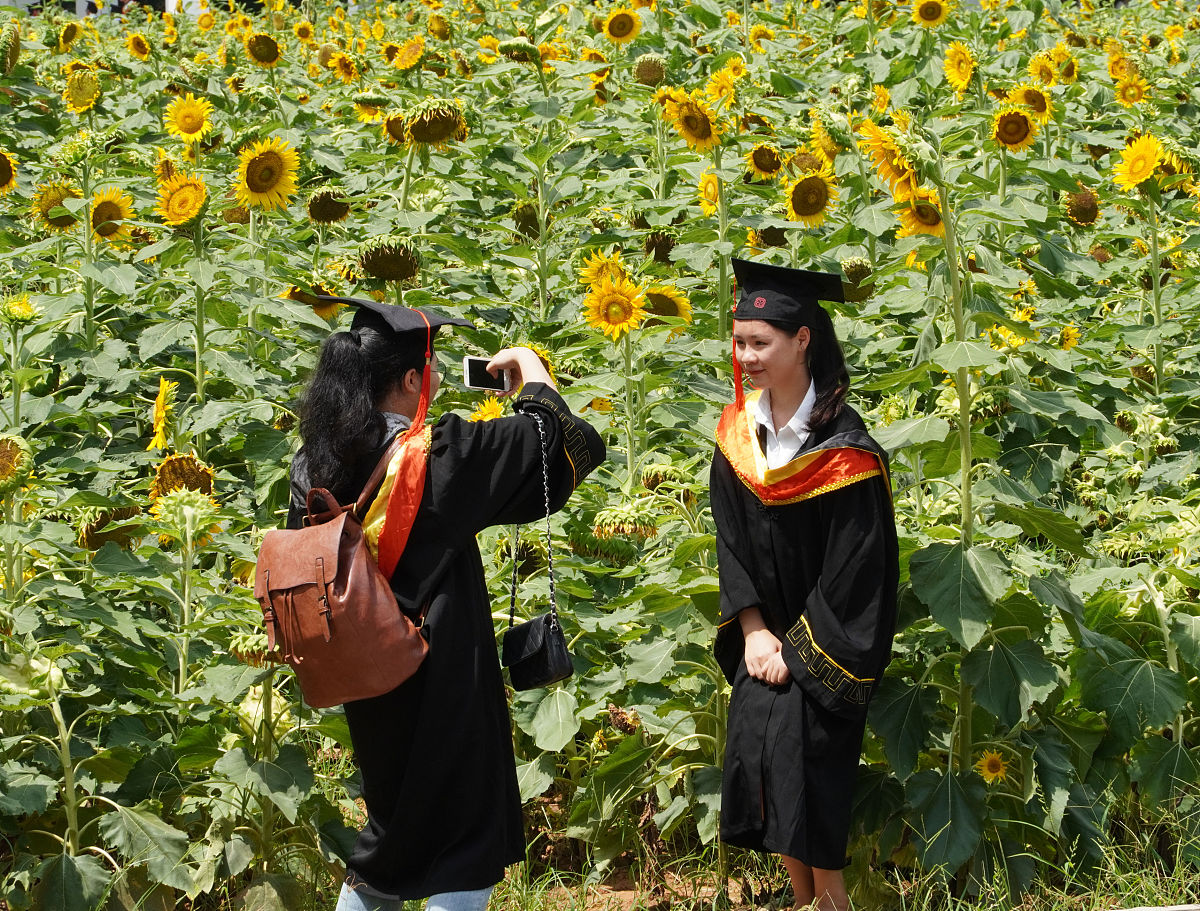 南宁职业技术学院物联网应用技术专业就业前景分析