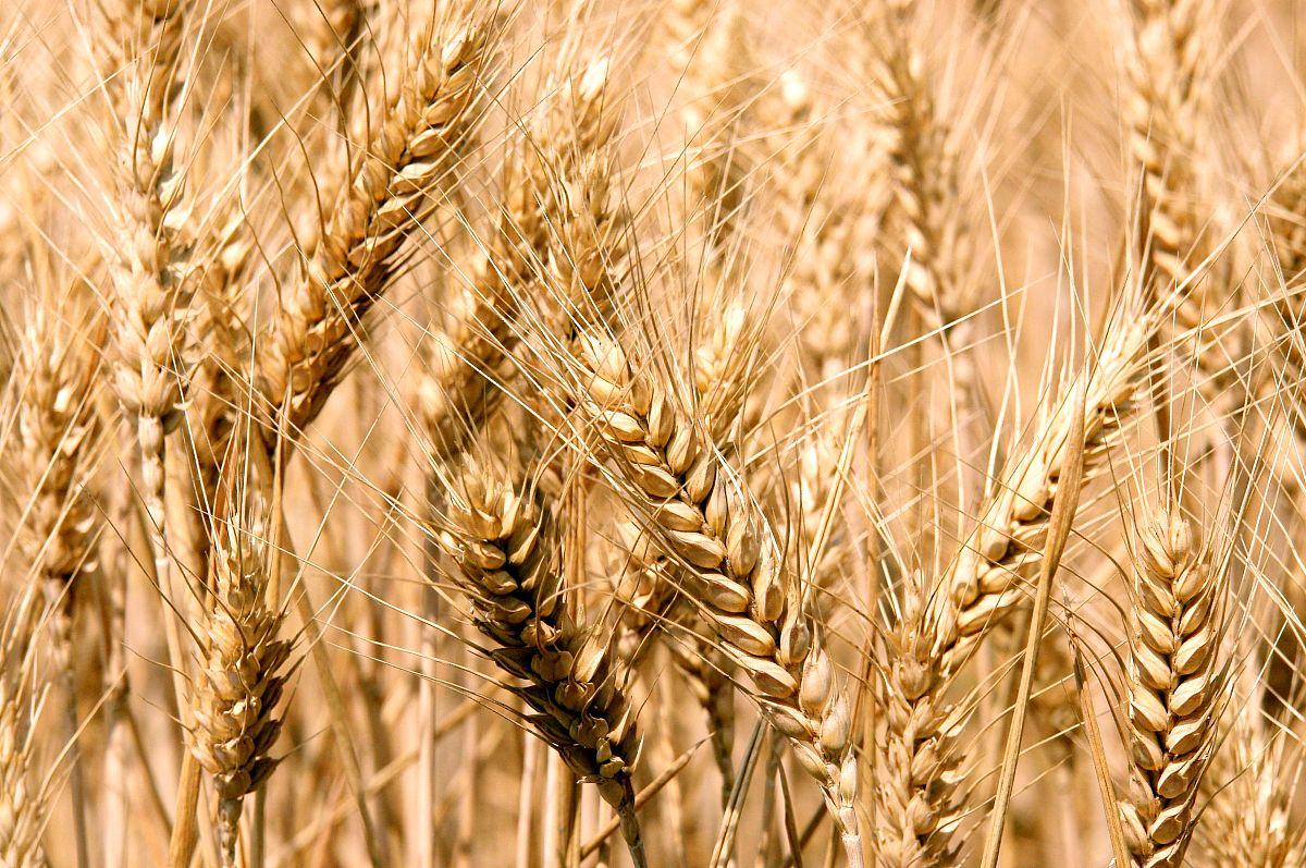 郑州商业技师学院招生简章