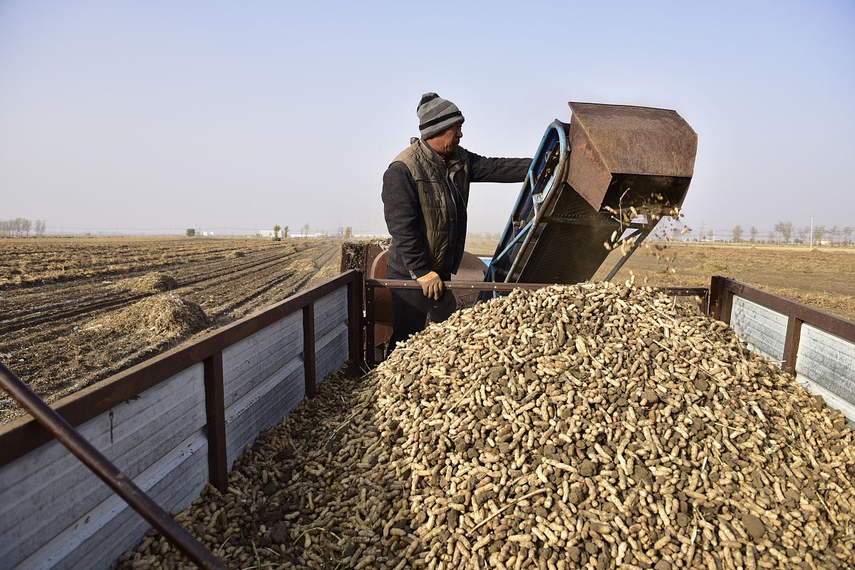 吉林白城媒体曝光求助热线电话号码是多少？