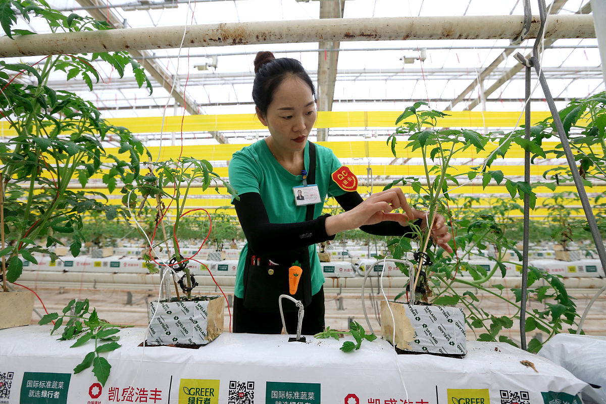 广西农业职业技术学院物流管理专业怎么样