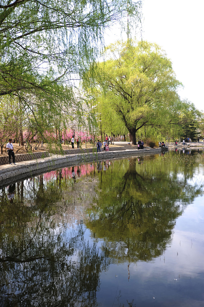 辽宁生态工程职业学院2022年专业设置：环保、旅游、农业等多个领域