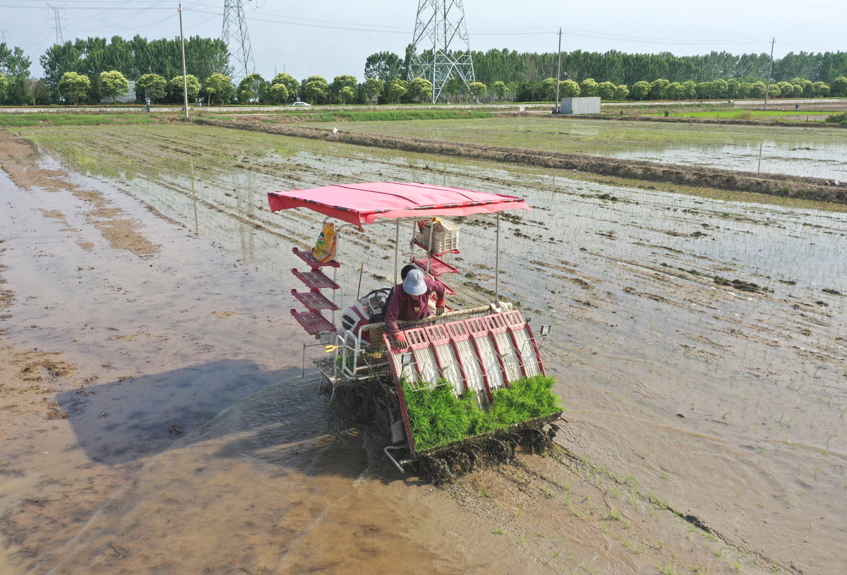 久保田高速插秧机一面下苗正常一面少是啥毛病